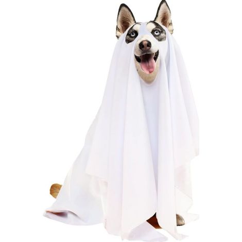 Déguisement de chien fantôme d'Halloween (blanc) (1/4)
