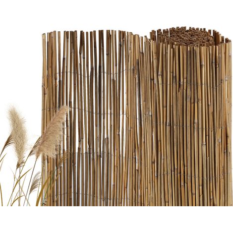 Randaco Schilfrohrmatte 100×600 cm Sichtschutz aus Schilf, Wind- & Sonnenschutz für Garten & Terrasse