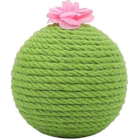 Cactus Cat attrape la balle Jouet de sport pour chaton Jouet interactif Balle Chat et chaton- (1/5)