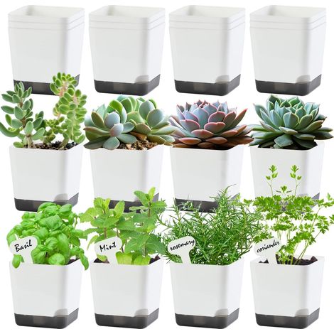 Mini-Anzuchttöpfe 7,6 cm, Anzuchtschalen, Set mit 20 Kunststoffblumentöpfen, geeignet für Zimmer- und Gartenpflanzen, weiße Dekotöpfe für Sukkulenten mit Abflusslöchern und Untersetzern.