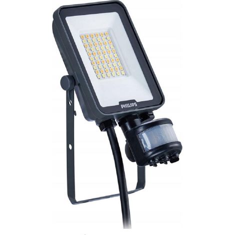Philips BVP167 Proyector LED Exterior 20W IP65