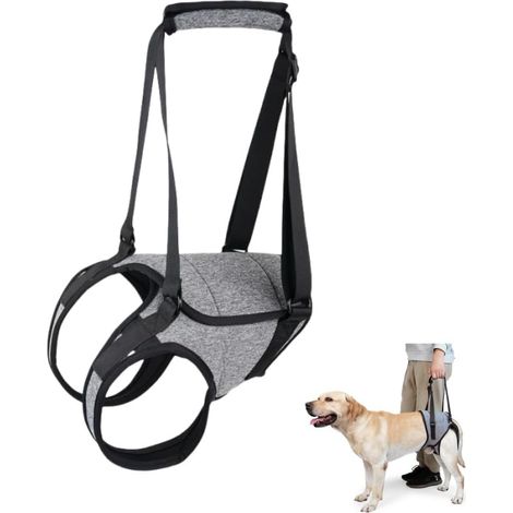 Dog Seat Belt, Back Dog Seat Belt, To Help Spinal Cord Rehabilitation, Suitable For Body Weight 17.5-26kg (Grey L) (1/4)