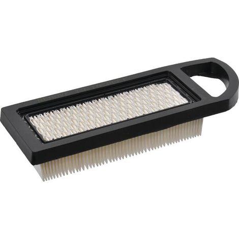 Filtre à air pour BRIGGS ET STRATTON 797008