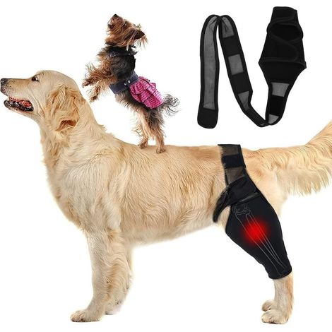 Protège-coude pour Chien, Protège-coude pour Chien pour le Soutien du Coude et de L'épaule du Chien Hygroma du Coude, Dysplasie, Arthrose, Callosités du Coude, Escarres et Luxation de L'épaule(M) (1/5)