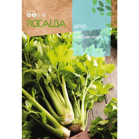 Rokalba Campio Plein Blanc Pascal 3G