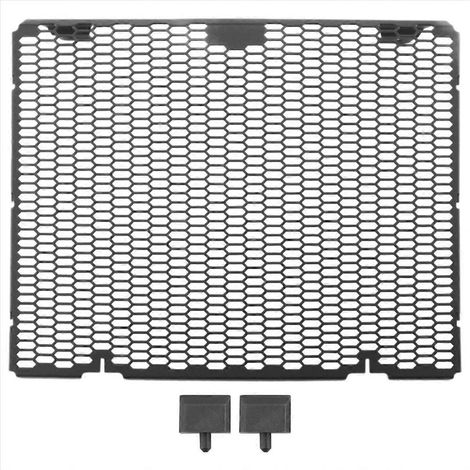 Accessoires moto : Grille de radiateur pour DUKE990 (1/5)