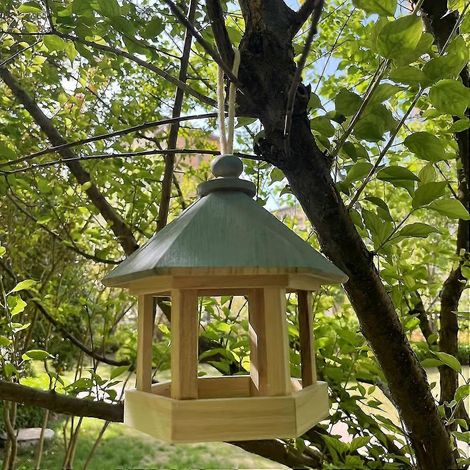 Mangeoire rustique en bois - Abri attrayant pour colibris et perroquets - Rangement sécurisé pour graines d'oiseaux, idéal pour la décoration de jardin - Boîte suspendue résistante avec motif de ferme (1/4)