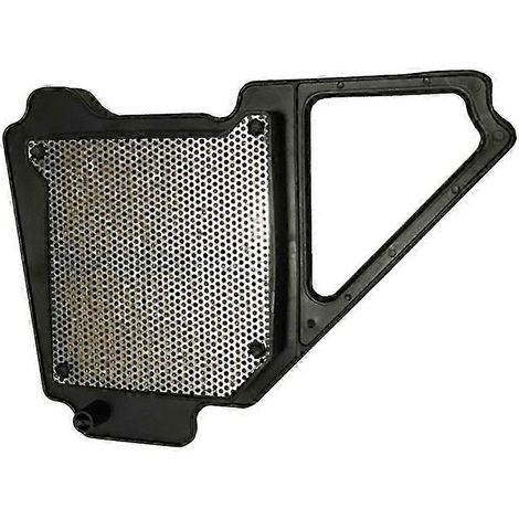 Hochleistungs-Motorrad-Straßenluftfilter passend für YBR125 JYM125 2002-2013 (Highway) (1/4)