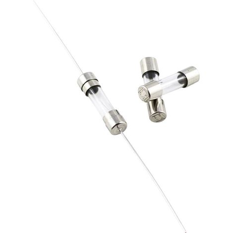 MICRO-FUSIBLE ESKA 522.421 (Ø X L) 5 MM X 20 MM 2.5 A 250 V ULTRA-TEMPORISÉ -TT- 10 PC(S)