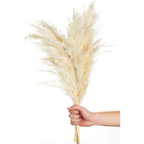 10pcs Pampas Grass R Fluffy Dried Bleached Bouquet Boho Vinta Sty (1/5)