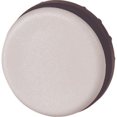 Tappo di chiusura IP67 RAL7035 EATON M22B (1/4)