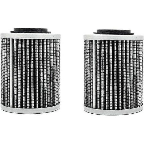 2 filtres à huile 420956124 pour Ski-Doo Expedition LE SE Sport 600 900 1200-SFYGV (2017) (1/5)