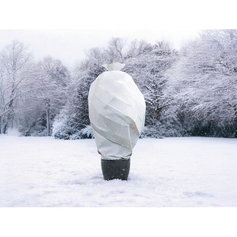 Voile d'hivernage 30 g/m² 2 x 10 m - Nature (1/4)