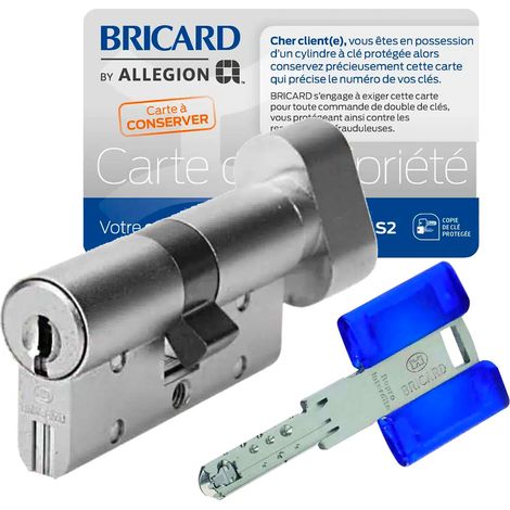 Bricard – Cylindre de serrure 30x30 mm à bouton renforcé – 15 goupilles sur 5 axes – Protection contre crochetage et perçage – 3 clés réversibles (1/5)
