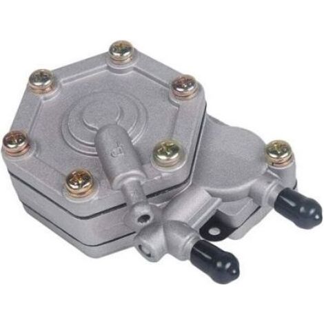 Pompe à carburant avec filtre - Compatible Polaris ATV Remplacement pièce d'origine - Sportsman Outlaw Scrambler - 2520227 (1/5)