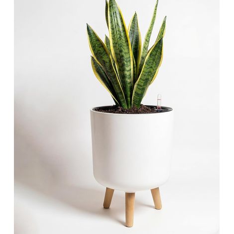 Pots de Fleurs d'intérieur avec Support de Plantes 24,4 cm à arrosage Automatique avec Pieds en Bois Amovibles et indicateur de Niveau d'eau, Pot de Fleurs Moderne avec Pot intérieur (1/5)