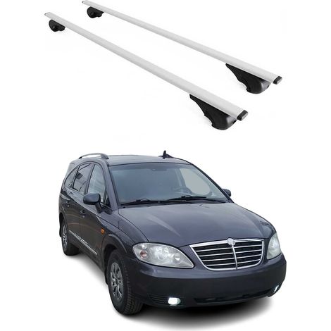 OMAC Dachträger Querträger für Ssangyong Rodius I 2004-2012 – Abschließbar – Max. 75 kg – 2 Stangen Stahl Silber (1/5)