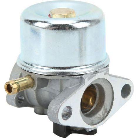 Kit Carburateur Aluminium, Bougie et Joint pour Moteur de Tondeuse Briggs & Stratton (Séries 12G/12H) (1/5)