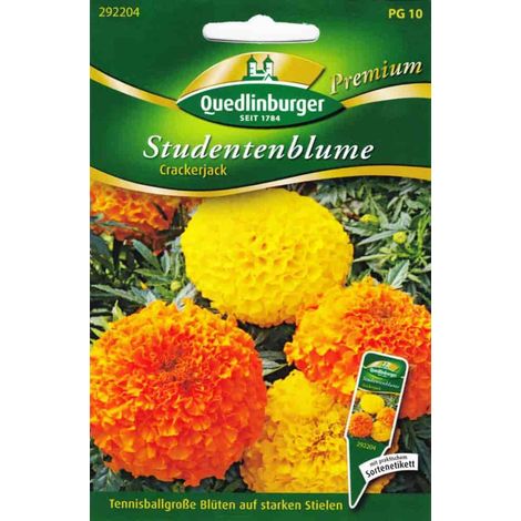 Quedlinburger Studentenblume Crackerjack - Blumensamen (1/2)