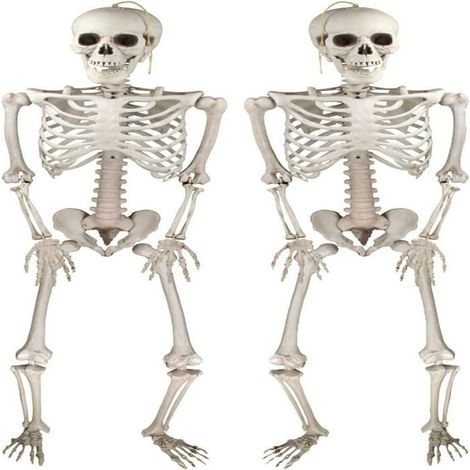 Deco Halloween Squelettes Réalistes d'Posable pour Intérieure et Extérieure, Accessoires Fête Halloween -2 USTENSILES DE DECORATION (1/5)