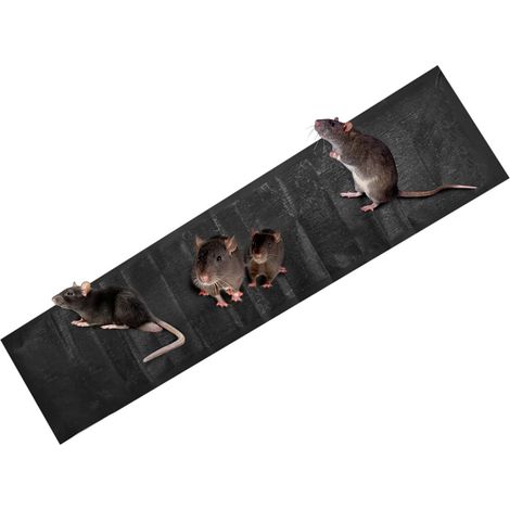 Klebefallen für Mäuse – 120 x 28 cm – Insektenschutz – Wiederverwendbar (1/5)