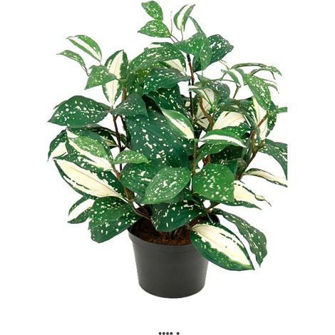 Pothos artificiel au feuillage tacheté H 35 cm, D 28 cm (1/2)