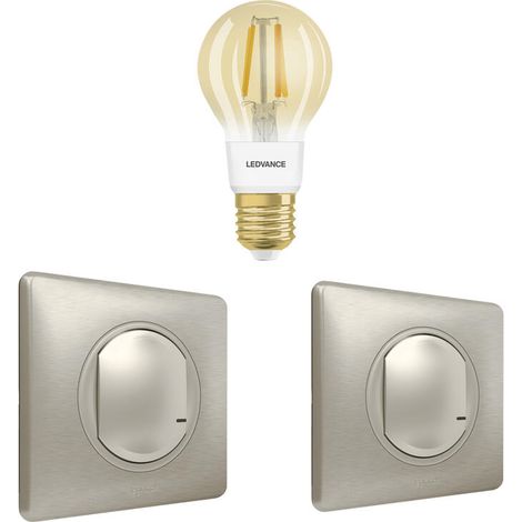 Pack extension Smart lighting Céliane ampoule vintage - titane (1/3)