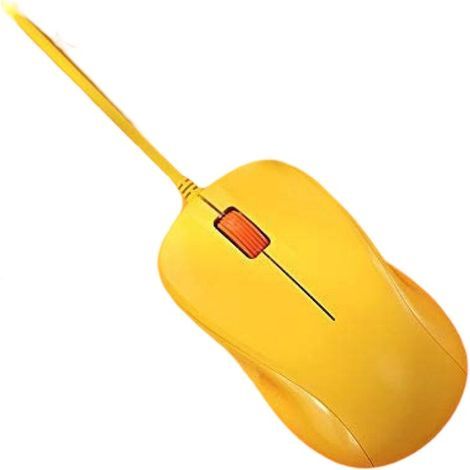 Adaptée aux coques de téléphone en TPU de haute qualité, compatible avec l'iPhone 11, prend en charge la recharge sans fil, présente des bords électroplaqués luxueux, une protection antichoc et un des (1/2)