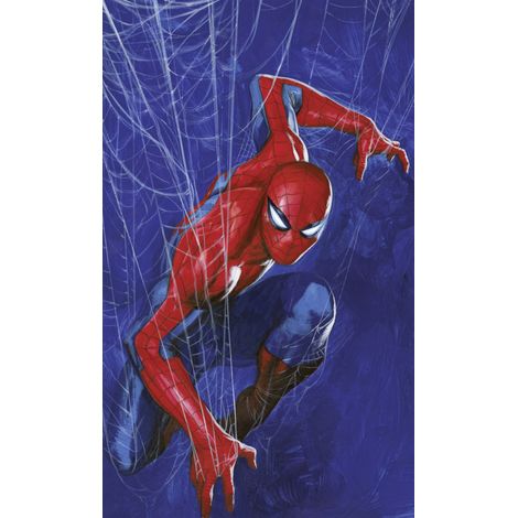 Papier peint panoramique - Marvel Spider-Man Spider Web - Taille: 150 x 250 cm (1/5)