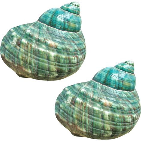 Caracola de caracola natural Turbo verde de 10 cm, rara y auténtica, magnífica para la sanación y la decoración oceánica (2 piezas) (1/4)