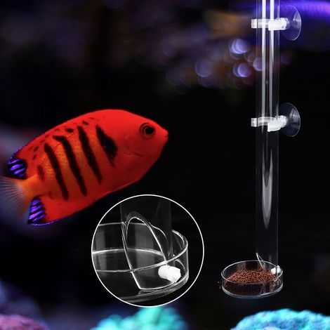 Distributeur de nourriture transparent en acrylique durable pour poissons et crevettes d'aquarium, tube d'alimentation avec plateau (20 cm) (1/5)