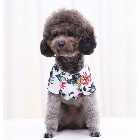 Hunde-Shirts, Katzen-T-Shirts, Sommer, stylisch, Hawaii-Print, weich, (1/4)