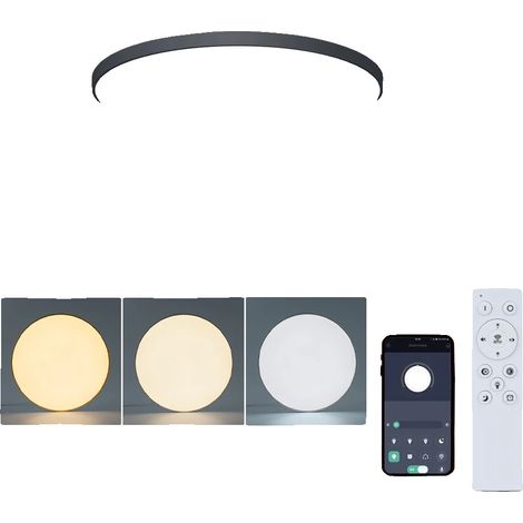 Plafonnier, Dimmable, Télécommande, Coquille noire (1/2)