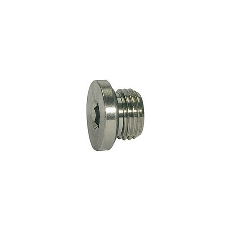Riegler Verschlussstopfen, O-Ring »value line«, G 1/4, Messing vern. (1/2)