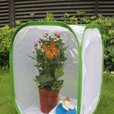 Cage à insectes pliable et ventilée avec filet de transmission de lumière et fermeture éclair pour plantes (1/5)