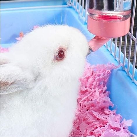 Breuvoir rongeurs Biberon Hamster Biberon Lapin Nain Cage Dispensateur d'eau petits animaux Hamsters Rats Guinées Furets Lapins Petits Animaux (1/4)