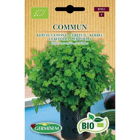 Bio Graines Cerfeuil COMMUM (1/5)