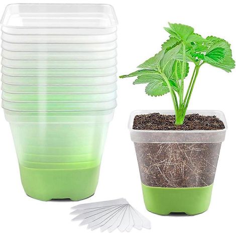 Lot de 12 pots de pépinière carrés en plastique transparent de 7,6 cm (3 pouces) (1/5)