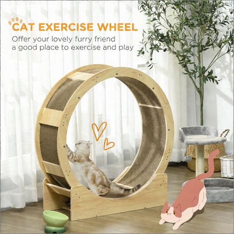 Roue d'exercice et de jeu de 91 cm (36 pouces) pour chats d'intérieur, avec frein et griffoirs en chêne, pour chatons et chats. (1/5)