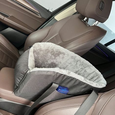 Hundesitz aus Leinenstoff für kleine bis große Hunde, abnehmbare Armlehne, Kuschelbett, tragbare Transportbox mit Sicherheitsverschluss – 1 Stück, vormontiert, vielseitig einsetzbar für drinnen und dr