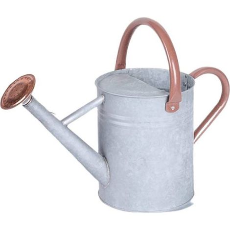 Riego Can - 4 L - Acero Galvanizado - Boquilla Desmontable - Diseño Grabado - Para Plantas Interiores y Exteriores - Unidad (1/5)