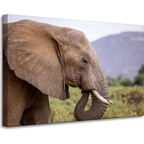 Lienzo impreso con la imagen de un elefante en primer plano, de 90x60 cm.