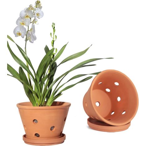 Lot de 2 grands pots de rempotage en argile-Pots à orchidées en terre cuite de 20 cm avec trous de drainage et soucoupes (1/4)