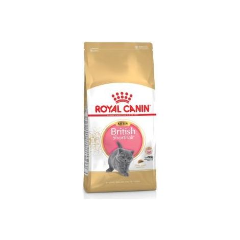 Royal Canin Britisch Kurzhaar Kätzchenfutter 400g (1/2)