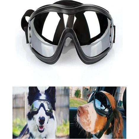 Lunettes de protection UV pour chien, lunettes de soleil pour chien, protection contre le vent et la neige (1/5)