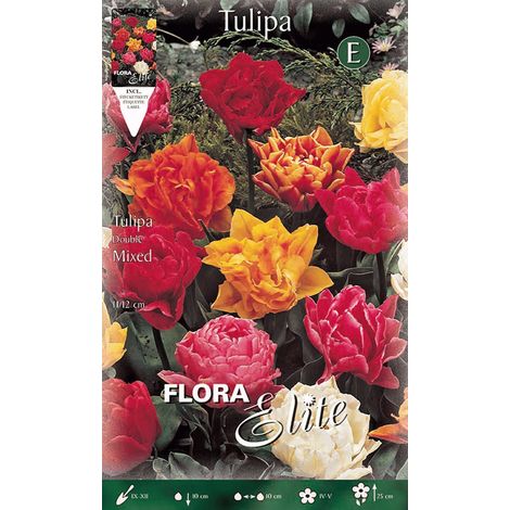 BULBI AUTUNNALI TULIPANO FIORE DOPPIO MIX DI COLORI CONFEZIONE 7 BULBI BULBS BULBES