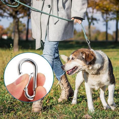 Karabiner, 25er-Pack – Korrosionsbeständiges Eisen – Schnellverschluss – Leicht und kompakt – Etikett (1/5)