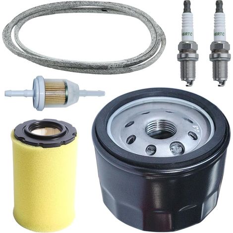 LinDuxe Luftfilter D125 MIU14395 für John Deere Rasentraktor D100 D105 D125 D130 D140 D110 E140 E130 E100 E120 LA145 LA135 Z255 Z235 X330 mit Deckriemen, Zündkerze, Ölfilter, Tune-up-Kit