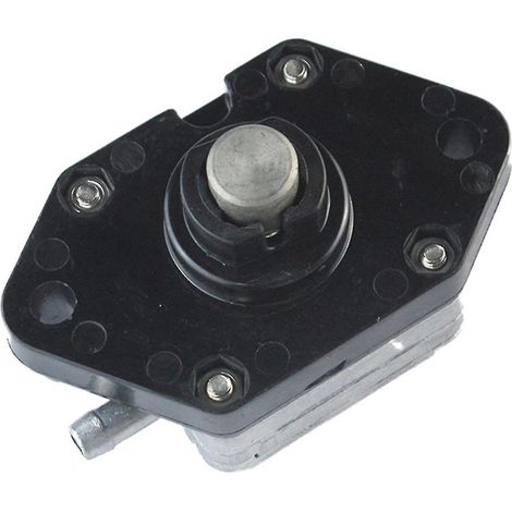 Pompe à carburant Df6 pour Suzuki Df4 Df6a 138cc Sea Pro et plus 4 temps 4hp (1/4)