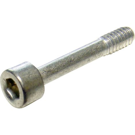 Provertha 5520Z4N 5520Z4N Zylinderschraube Silber 1 St.